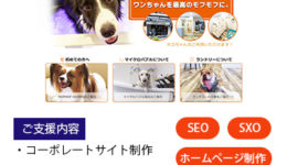 mofmof様アイキャッチ(用語無）400-500