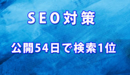 SEO1位-2